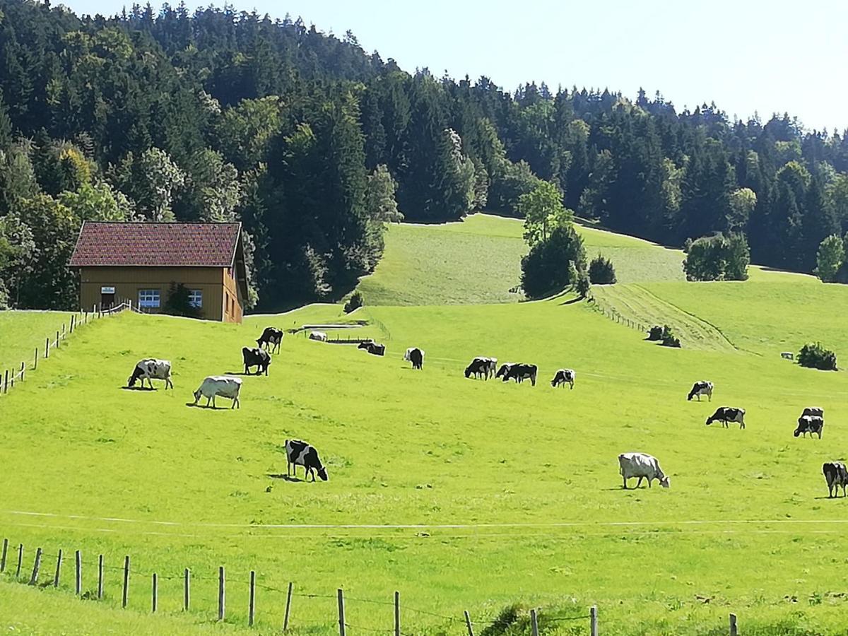 Gemuetliche Wohnung In Einfamilienhaus Alberschwende Exteriér fotografie