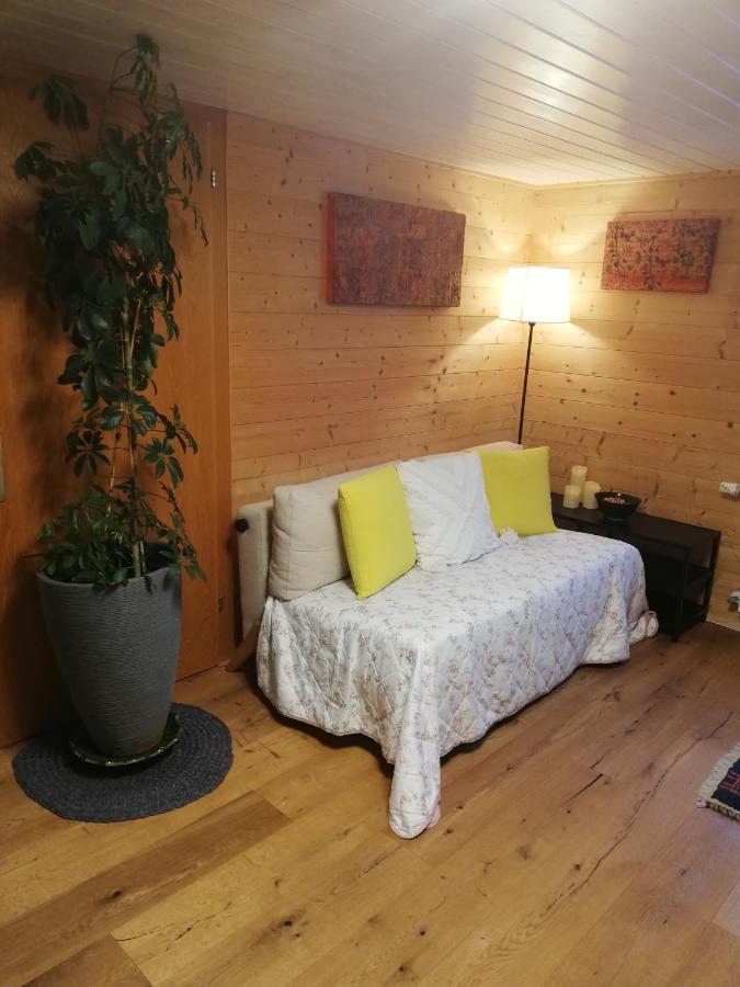 Gemuetliche Wohnung In Einfamilienhaus Alberschwende Exteriér fotografie